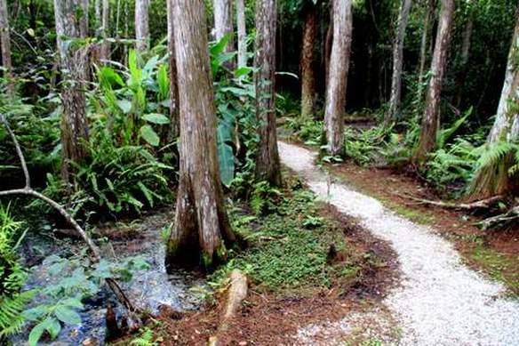 Big Cypress Gallery and Swamp Cottages - GAY TRAVELERS 